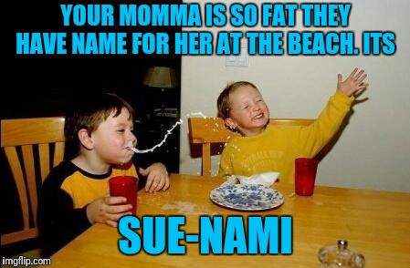 Yo Momma So Fat | YOUR MOMMA IS SO FAT THEY HAVE NAME FOR HER AT THE BEACH. ITS; SUE-NAMI | image tagged in yo momma so fat | made w/ Imgflip meme maker