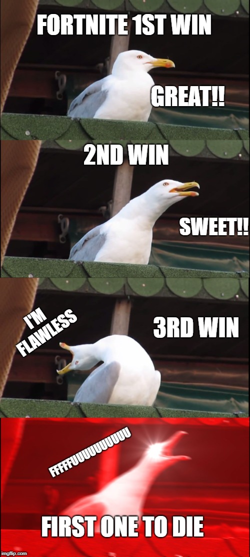 Inhaling Seagull Meme | FORTNITE 1ST WIN; GREAT!! 2ND WIN; SWEET!! I'M FLAWLESS; 3RD WIN; FFFFFUUUUUUUUUU; FIRST ONE TO DIE | image tagged in memes,inhaling seagull | made w/ Imgflip meme maker