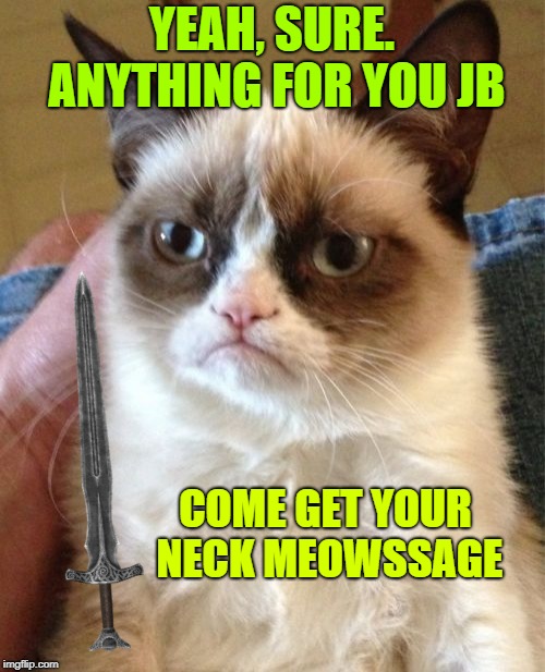 Grumpy Cat Meme | YEAH, SURE. ANYTHING FOR YOU JB COME GET YOUR NECK MEOWSSAGE | image tagged in memes,grumpy cat | made w/ Imgflip meme maker