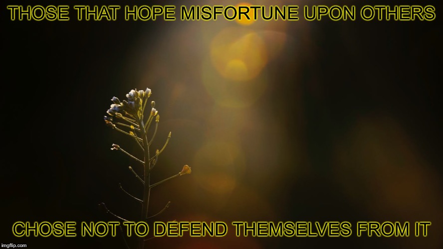 THOSE THAT HOPE MISFORTUNE UPON OTHERS; CHOSE NOT TO DEFEND THEMSELVES FROM IT | image tagged in truth | made w/ Imgflip meme maker