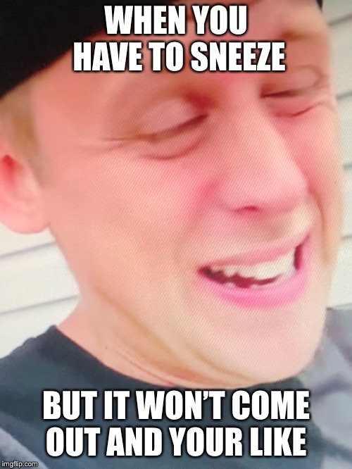 WHEN YOU HAVE TO SNEEZE; BUT IT WON’T COME OUT AND YOUR LIKE | image tagged in not funny,weird,idk | made w/ Imgflip meme maker