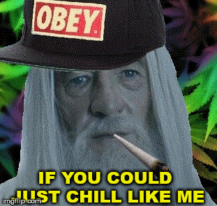gandalf obey cap | IF YOU COULD JUST CHILL LIKE ME | image tagged in gandalf obey cap | made w/ Imgflip meme maker
