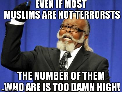 Too Damn High Meme | EVEN IF MOST MUSLIMS ARE NOT TERRORSTS; THE NUMBER OF THEM WHO ARE IS TOO DAMN HIGH! | image tagged in memes,too damn high | made w/ Imgflip meme maker