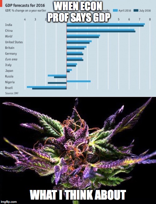 GDP | WHEN ECON PROF SAYS GDP; WHAT I THINK ABOUT | image tagged in economy,weed | made w/ Imgflip meme maker