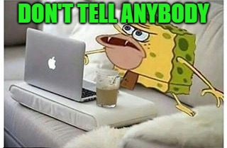 SpongeGar Computer | DON'T TELL ANYBODY | image tagged in spongegar computer | made w/ Imgflip meme maker