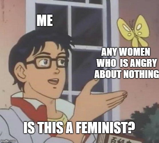 Is This A Pigeon Meme | ME; ANY WOMEN WHO  IS ANGRY ABOUT NOTHING; IS THIS A FEMINIST? | image tagged in memes,is this a pigeon | made w/ Imgflip meme maker