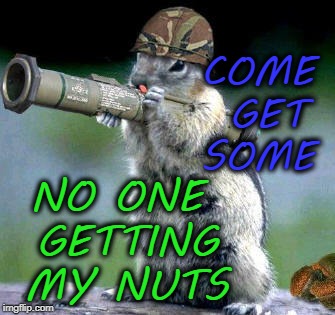 Bazooka Squirrel Meme | NO ONE GETTING MY NUTS; COME GET SOME | image tagged in memes,bazooka squirrel,nuts,funny | made w/ Imgflip meme maker