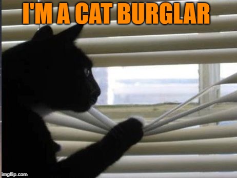 I'M A CAT BURGLAR | made w/ Imgflip meme maker