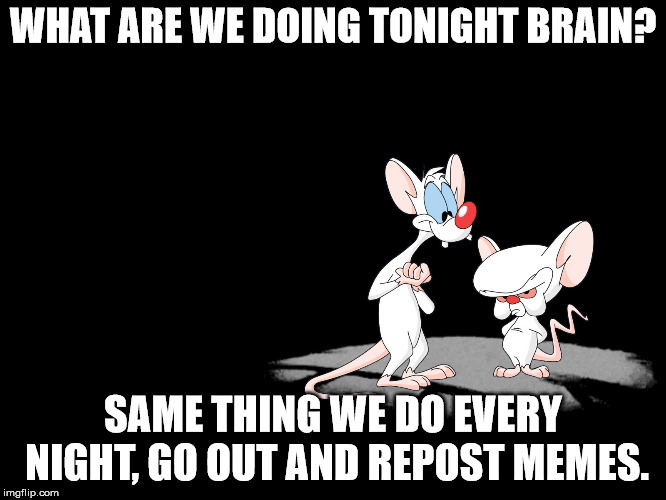 Pinky And The Brain | WHAT ARE WE DOING TONIGHT BRAIN? SAME THING WE DO EVERY NIGHT, GO OUT AND REPOST MEMES. | image tagged in pinky and the brain | made w/ Imgflip meme maker
