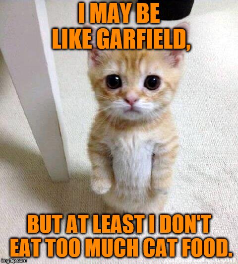 Cute Cat Meme | I MAY BE LIKE GARFIELD, BUT AT LEAST I DON'T EAT TOO MUCH CAT FOOD. | image tagged in memes,cute cat | made w/ Imgflip meme maker