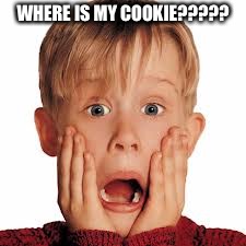 WHERE IS MY COOKIE????? | image tagged in gifs,funny | made w/ Imgflip meme maker