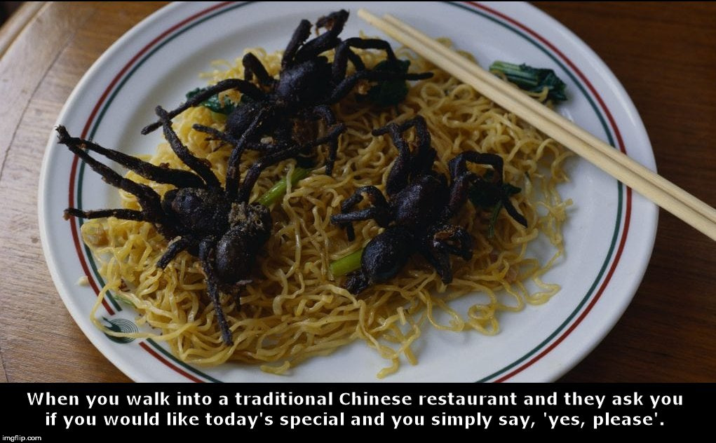 Next Time, Just Say, 'Noooo' | image tagged in tarantula,spider,chinese food | made w/ Imgflip meme maker