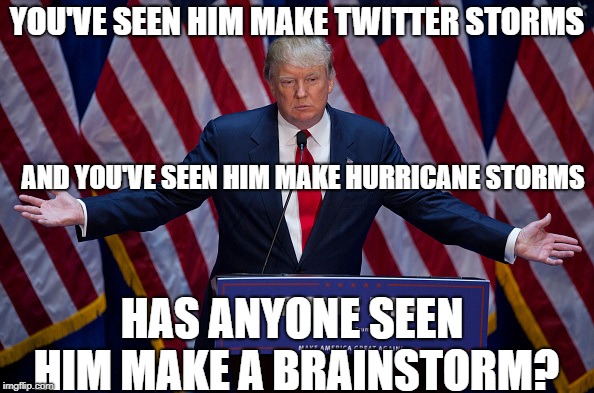 Stormy Donald | YOU'VE SEEN HIM MAKE TWITTER STORMS; AND YOU'VE SEEN HIM MAKE HURRICANE STORMS; HAS ANYONE SEEN HIM MAKE A BRAINSTORM? | image tagged in donald trump,brains,storms,twitter,trump twitter,hurricane florence | made w/ Imgflip meme maker
