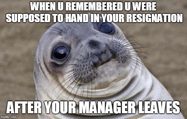 this same meme is in the letter as of right now | WHEN U REMEMBERED U WERE SUPPOSED TO HAND IN YOUR RESIGNATION; AFTER YOUR MANAGER LEAVES | image tagged in memes,awkward moment sealion | made w/ Imgflip meme maker