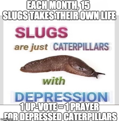 EACH MONTH, 15 SLUGS TAKES THEIR OWN LIFE; 1 UP-VOTE = 1 PRAYER FOR DEPRESSED CATERPILLARS | image tagged in memes | made w/ Imgflip meme maker