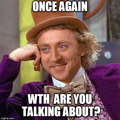 Creepy Condescending Wonka Meme | ONCE AGAIN WTH  ARE YOU TALKING ABOUT? | image tagged in memes,creepy condescending wonka | made w/ Imgflip meme maker