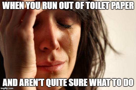 First World Problems | WHEN YOU RUN OUT OF TOILET PAPER; AND AREN'T QUITE SURE WHAT TO DO | image tagged in memes,first world problems | made w/ Imgflip meme maker