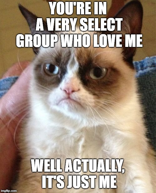 Grumpy Cat Meme | YOU'RE IN A VERY SELECT GROUP WHO LOVE ME WELL ACTUALLY, IT'S JUST ME | image tagged in memes,grumpy cat | made w/ Imgflip meme maker