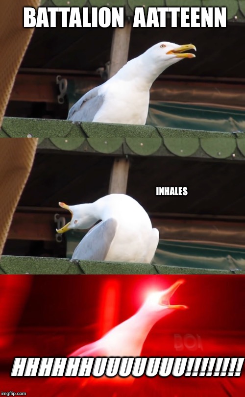 Inhaling seagull | BATTALION 
AATTEENN; INHALES; HHHHHHUUUUUUU!!!!!!!! | image tagged in inhaling seagull | made w/ Imgflip meme maker