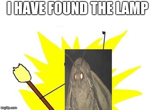 Moth found lamp | I HAVE FOUND THE LAMP | image tagged in memes,x all the y,moth,i love lamp,lamp,spooktober | made w/ Imgflip meme maker