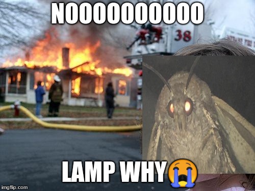 Pray for Lamp | NOOOOOOOOOO; LAMP WHY😭 | image tagged in memes,disaster girl,moth,lamp,i love lamp,sad | made w/ Imgflip meme maker