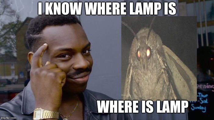 Moth don't know where lamp is  | I KNOW WHERE LAMP IS; WHERE IS LAMP | image tagged in memes,roll safe think about it,moth,i love lamp,smart | made w/ Imgflip meme maker