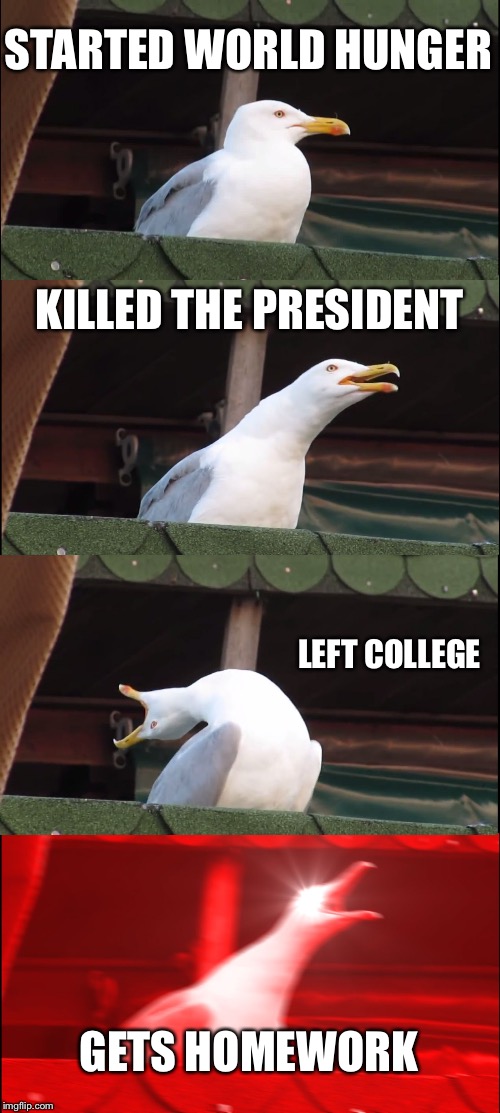 Inhaling Seagull Meme | STARTED WORLD HUNGER; KILLED THE PRESIDENT; LEFT COLLEGE; GETS HOMEWORK | image tagged in memes,inhaling seagull | made w/ Imgflip meme maker