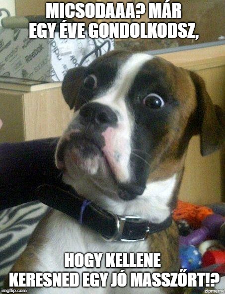 Funny Dog | MICSODAAA? MÁR EGY ÉVE GONDOLKODSZ, HOGY KELLENE KERESNED EGY JÓ MASSZŐRT!? | image tagged in funny dog | made w/ Imgflip meme maker