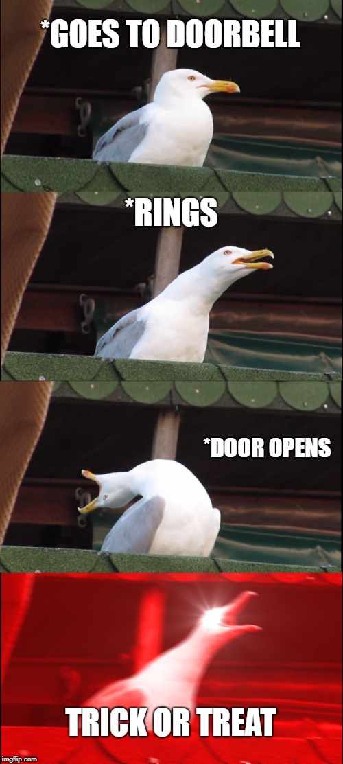 Inhaling Seagull | *GOES TO DOORBELL; *RINGS; *DOOR OPENS; TRICK OR TREAT | image tagged in memes,inhaling seagull | made w/ Imgflip meme maker