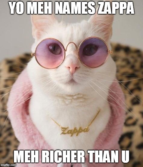 rich cat zappa | YO MEH NAMES ZAPPA; MEH RICHER THAN U | image tagged in yo yo yo,meh zappa,richer | made w/ Imgflip meme maker