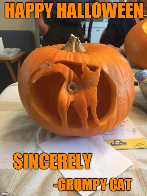 Halloween Wishes From Grumpy Cat | HAPPY HALLOWEEN; SINCERELY; -GRUMPY CAT | image tagged in halloween,grumpy cat,jack o lantern | made w/ Imgflip meme maker