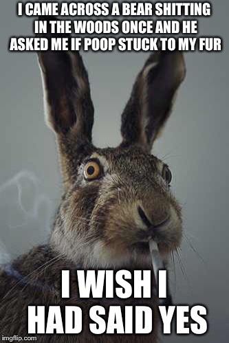 High Hare Confession  | I CAME ACROSS A BEAR SHITTING IN THE WOODS ONCE AND HE ASKED ME IF POOP STUCK TO MY FUR; I WISH I HAD SAID YES | image tagged in rabbit smoking,memes,confession bear,high dog | made w/ Imgflip meme maker