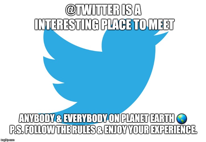 Twitter | @TWITTER IS A INTERESTING PLACE TO MEET; ANYBODY & EVERYBODY ON PLANET EARTH 🌎 P.S. FOLLOW THE RULES & ENJOY YOUR EXPERIENCE. | image tagged in twitter | made w/ Imgflip meme maker