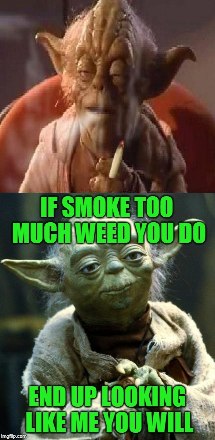IF SMOKE TOO MUCH WEED YOU DO END UP LOOKING LIKE ME YOU WILL | made w/ Imgflip meme maker