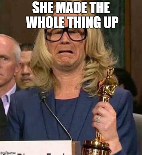 #BELIEVEWOMEN | SHE MADE THE WHOLE THING UP | image tagged in believewomen | made w/ Imgflip meme maker