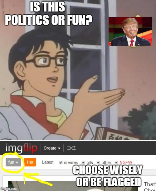 if it contains ANYTHING related to politicians or laws or rights...play it safe and mark it POLITICS | IS THIS POLITICS OR FUN? CHOOSE WISELY OR BE FLAGGED | image tagged in fun or politics | made w/ Imgflip meme maker
