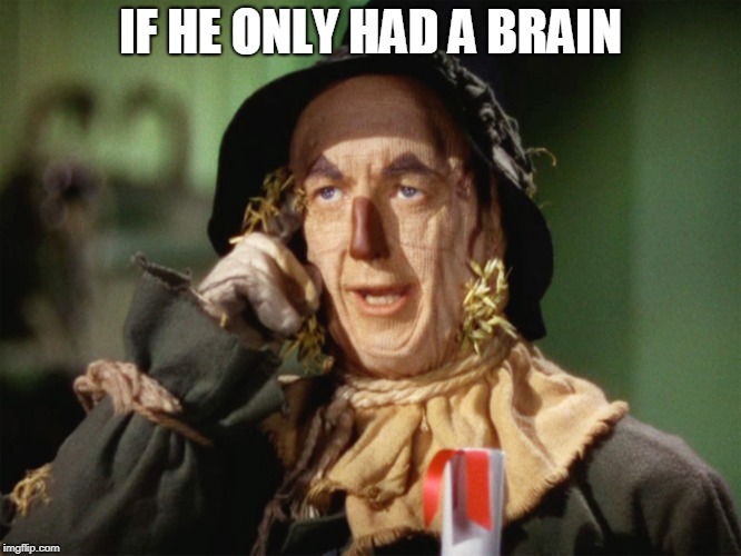 If I Only Had A Brain | IF HE ONLY HAD A BRAIN | image tagged in if i only had a brain | made w/ Imgflip meme maker