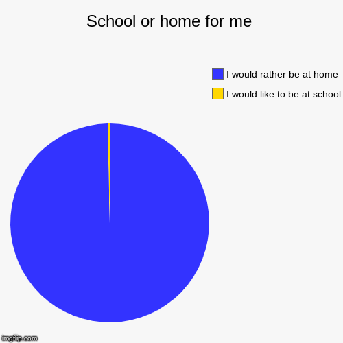 School or home for me | I would like to be at school, I would rather be at home | image tagged in funny,pie charts | made w/ Imgflip chart maker