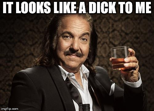 ron jeremy | IT LOOKS LIKE A DICK TO ME | image tagged in ron jeremy | made w/ Imgflip meme maker