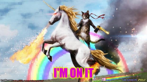 Epic Rainbow Unicorn Cat | I'M ON IT | image tagged in epic rainbow unicorn cat | made w/ Imgflip meme maker