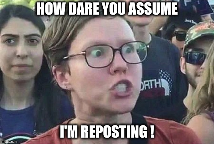Triggered Liberal | HOW DARE YOU ASSUME I'M REPOSTING ! | image tagged in triggered liberal | made w/ Imgflip meme maker