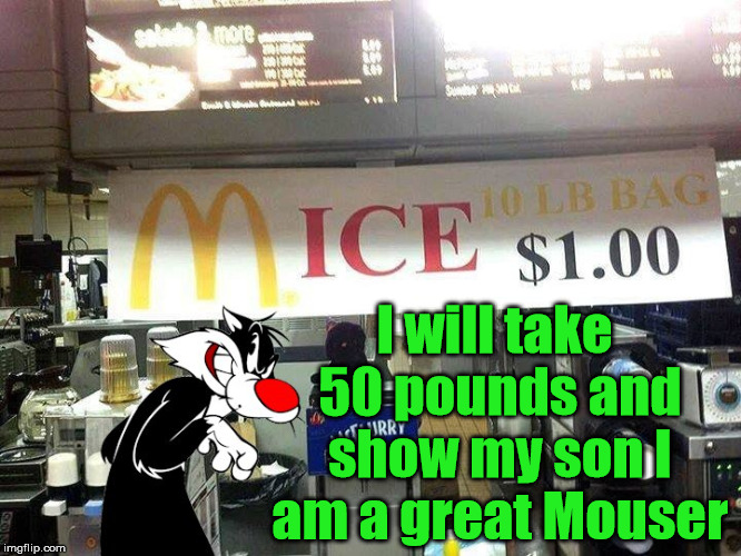 So why did McDonald's finally let us know they sell mice? | I will take 50 pounds and show my son I am a great Mouser | image tagged in memes,mice,mcdonalds,funny,sylvester the cat,funny meme | made w/ Imgflip meme maker