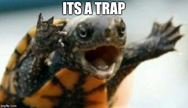 Turtle Say What? | ITS A TRAP | image tagged in turtle say what | made w/ Imgflip meme maker