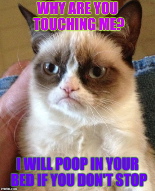 Grumpy Cat Meme | WHY ARE YOU TOUCHING ME? I WILL POOP IN YOUR BED IF YOU DON'T STOP | image tagged in memes,grumpy cat | made w/ Imgflip meme maker