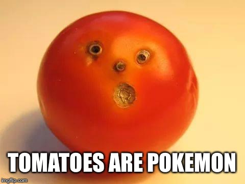 tomato man | TOMATOES ARE POKEMON | image tagged in tomato man | made w/ Imgflip meme maker