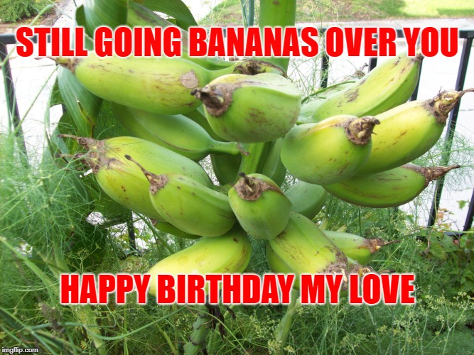 STILL GOING BANANAS OVER YOU; HAPPY BIRTHDAY MY LOVE | image tagged in u scream we scream  ice cream bananas | made w/ Imgflip meme maker