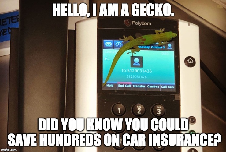 Gecko Telemarketer | MXC; HELLO, I AM A GECKO. DID YOU KNOW YOU COULD SAVE HUNDREDS ON CAR INSURANCE? | image tagged in gecko,geico gecko,hawaii,phone,telemarketer,viral meme | made w/ Imgflip meme maker