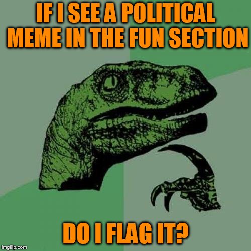 Now I don't know. Is this a fun meme or a political meme? | IF I SEE A POLITICAL MEME IN THE FUN SECTION; DO I FLAG IT? | image tagged in memes,philosoraptor | made w/ Imgflip meme maker