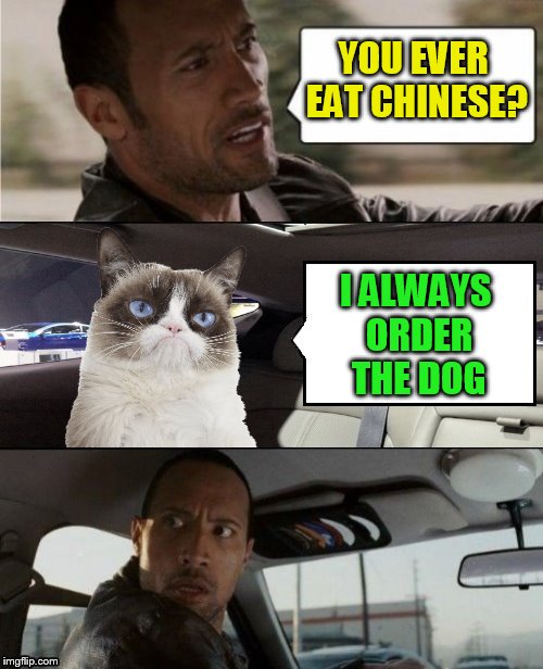 The Rock Driving Blank 2 | YOU EVER EAT CHINESE? I ALWAYS ORDER THE DOG | image tagged in the rock driving blank 2 | made w/ Imgflip meme maker