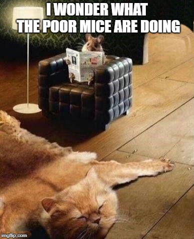 rich mouse | I WONDER WHAT THE POOR MICE ARE DOING | image tagged in mouse,mice,funny | made w/ Imgflip meme maker